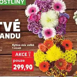 Kaufland Kytice mix velká nabídka