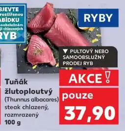 Kaufland Tuňák žlutoploutvý nabídka