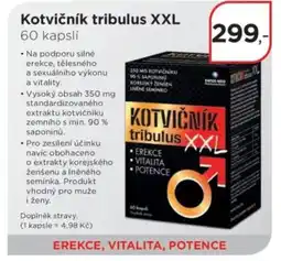 Magistra lékárny Kotvičník tribulus XXL nabídka