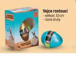 Globus Vejce roustoucí nabídka