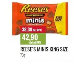 Ratio Reese's Minis king size nabídka