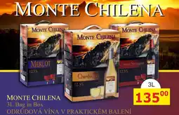 BENE Nápoje MONTE CHILENA Cabernet Sauvignon 12,5% 3L nabídka