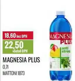 Ratio MAGNESIA PLUS 0,7l nabídka