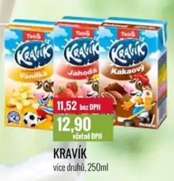 Ratio TATRA Kravík nabídka