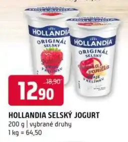 Terno Hollandia Selský jogurt nabídka