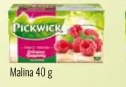 Ratio PICKWICK Malina nabídka