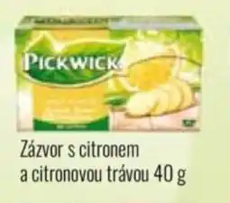 Ratio PICKWICK Zázvor s citronem a citronovou trávou nabídka