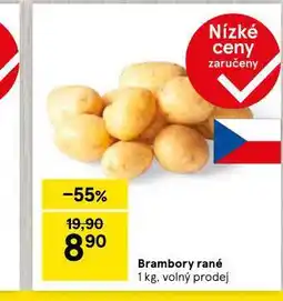 Tesco Brambory rané nabídka