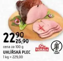 Terno Uhlířská plec nabídka