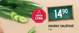 Terno Okurky salátové nabídka