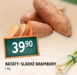 Terno Batáty-sladké brambory nabídka