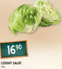 Terno Ledový salát nabídka