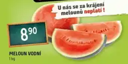 Terno Meloun vodní nabídka