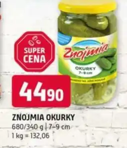Terno Znojmia okurky nabídka