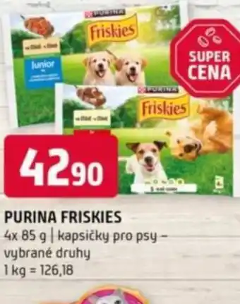 Terno Purina friskies nabídka