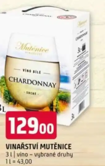 Terno Vinařství mutěnice nabídka