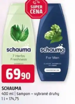 Terno Schauma nabídka