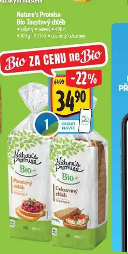 Albert Nature's Promise Bio Toustový chléb 400 g nabídka