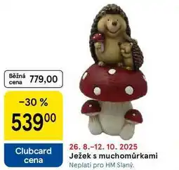 Tesco Ježek s muchomůrkami nabídka