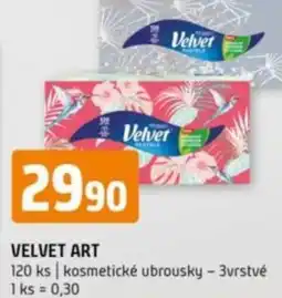 Terno Velvet art nabídka