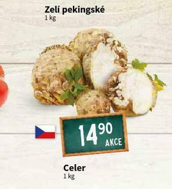 Terno Celer nabídka