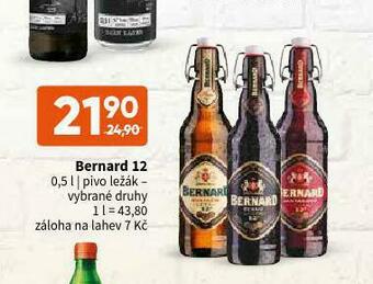 Terno Pivo bernard 12 nabídka