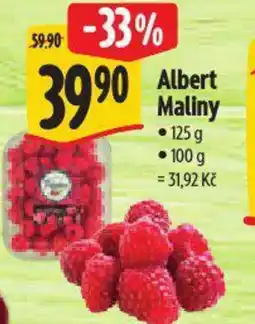 Albert Albert Maliny nabídka