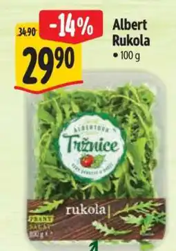 Albert Albert Rukola nabídka