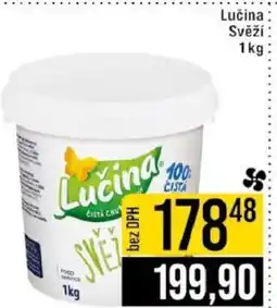 Jip LUČINA svěží nabídka
