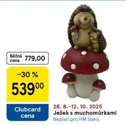 Tesco Ježek s muchomůrkami nabídka
