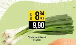 Jip Cibule lahůdková svazek nabídka