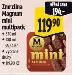 Albert Zmrzlina Magnum mini multipack nabídka