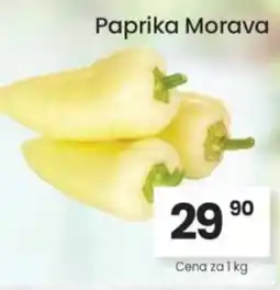 Kubík potraviny Paprika Morava nabídka
