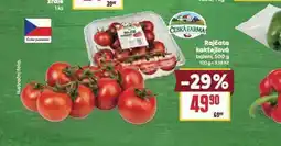 Billa Rajčata koktejlová nabídka
