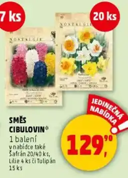Penny Market Směs cibulovin nabídka