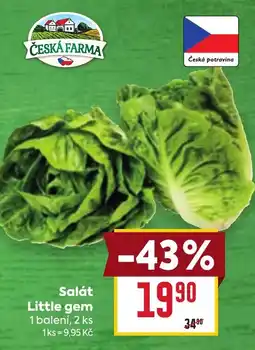 Billa Salát Little gem nabídka