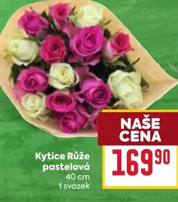 Billa Kytice Růže pastelová nabídka