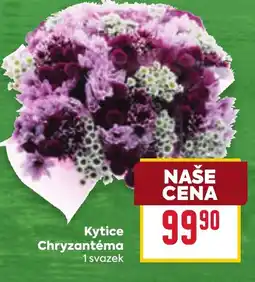 Billa Kytice Chryzantéma nabídka