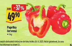 Albert Paprika červená nabídka