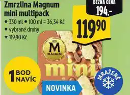 Albert Zmrzlina magnum mini multipack nabídka