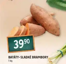 Terno BATÁTY-SLADKÉ BRAMBORY 1 kg nabídka