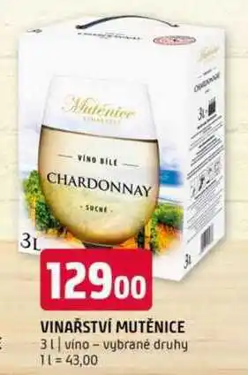 Terno VINAŘSTVÍ MUTĚNICE 3 l nabídka