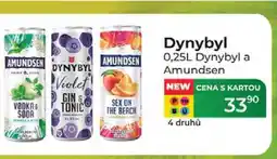Tamda Foods Dynybyl 0,25L Dynybyl a Amundsen nabídka