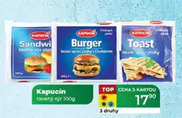 Tamda Foods Kapucín tavený sýr 100g nabídka