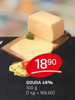 Flop Gouda 48% nabídka