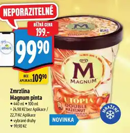 Albert Zmrzlina Magnum pinta nabídka