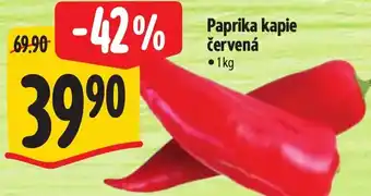 Albert Paprika kapie červená nabídka