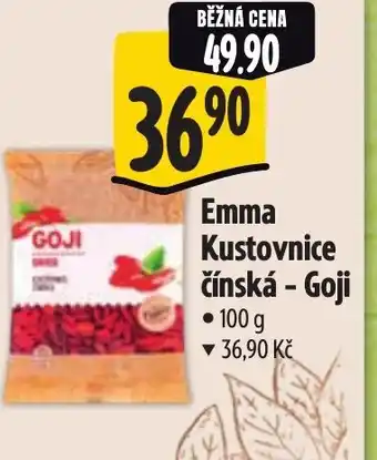 Albert Emma Kustovnice čínská - Goji nabídka