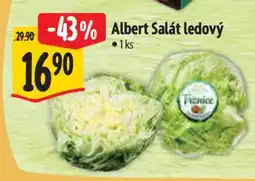 Albert Albert Salát ledový nabídka