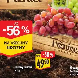 Albert Hrozny růžové nabídka